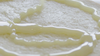 達(dá)諾乳業(yè)集團(tuán)